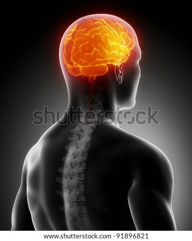 Glowing brain with spine