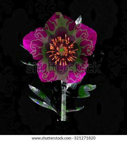 abstract flower with paisley in black background