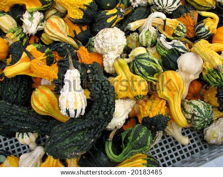 Wagon full of gourds at a farm stand on Long Island, New York
