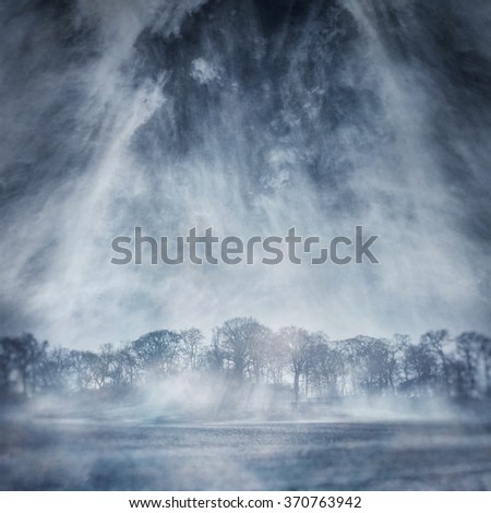 Similar – Image, Stock Photo Karg forest Forest