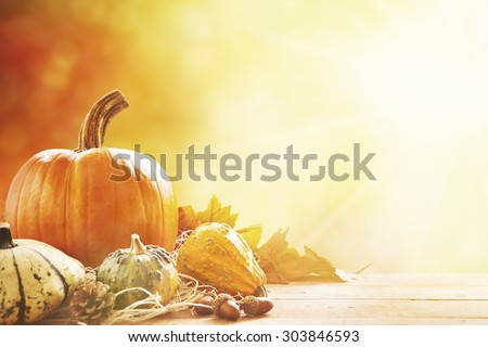 A rustic autumn still life with pumpkins and golden leaves on a wooden surface. Bright sunlight coming in from behind.