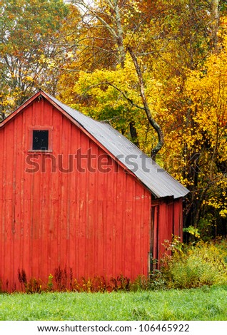 Red barn in autumn, with a background of colorful trees and fall leaves. Vertical.