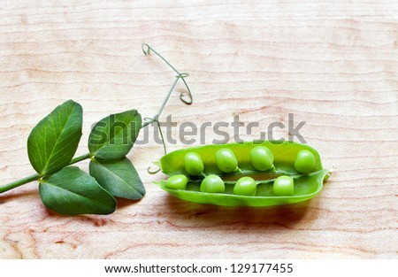 Fresh green peas in a pod with leaves and tendrils, on a maple wood cutting board. Close up with copy space. Top view.