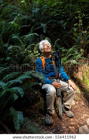 Active senior man hiking in a shady fern forest stops to rest in the sunlight