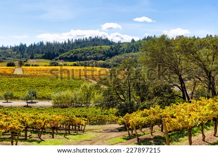 California wine country landscape in autumn