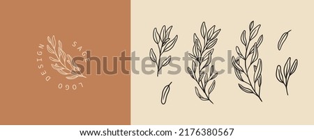 Set of sage plant illustration and badges logo template. Minimalist Stamp labels for tag with isolated common sage leaves. Hand drawn natural sign for tag product in simple rustic design.  