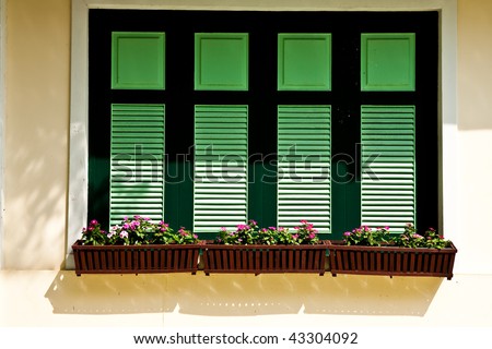 Windows and flower boxes