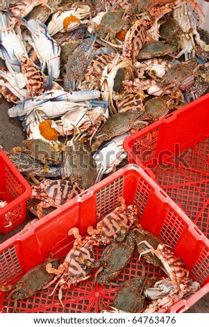 Fresh crabs from fishery boat, Thailand
