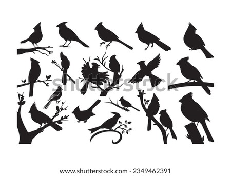 Cardinals Clipart Free | Free download on ClipArtMag