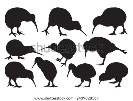 Kiwi Bird vector For Print, Kiwi Bird Clipart, Kiwi Bird vector Illustration