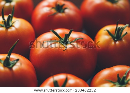 Lots of ripe tomatoes closeup. Low-key lighting