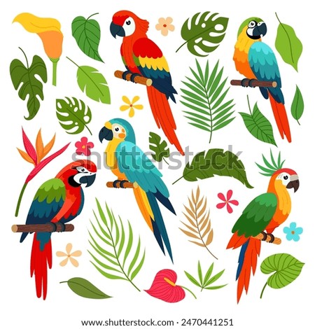 Set of tropical plants and parrots. Tropical bird. Jungle plants. Tropical flowers. Flat style design.