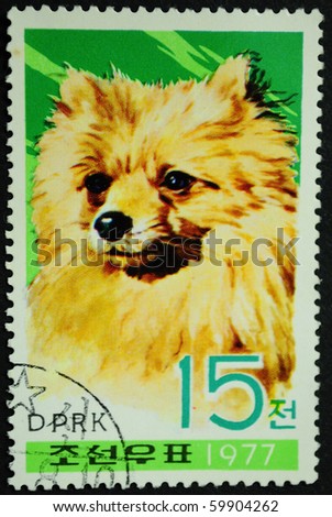 DPRK - CIRCA 1977: a stamp printed by DPRK show the dog, circa 1977