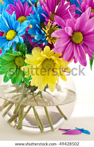 A vase of colorful spring daisies in a glass vase with high key white background, selective focus, vertical with copy space, great for Mother\'s Day or Easter
