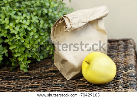A sack lunch in a brown paper bag with yellow apple, selective focus on bad and apple, copy space