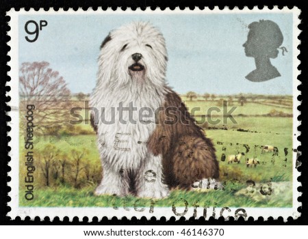 UNITED KINGDOM - CIRCA 1979: A British Used Postage Stamp showing an Old English Sheepdog, circa 1979