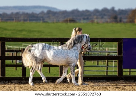 Similar – Foto Bild Stallhof am frühen Abend