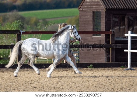 Similar – Foto Bild Stallhof am frühen Abend