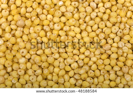 organic bulk millet macro background