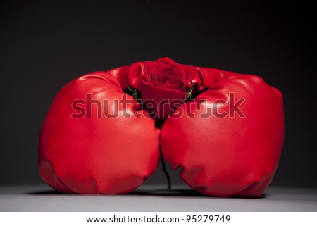 box gloves holding a steam of red rose on dark background