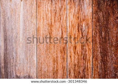 old home wooden door background, old panel