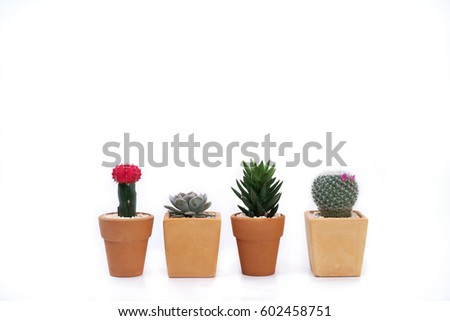 Similar – Image, Stock Photo Mini cactus in white ceramic pot