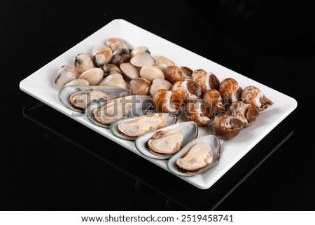 Similar – Image, Stock Photo Sea snail against black background