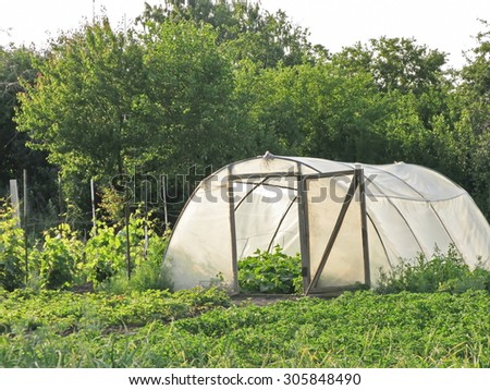 large hothouse for growing of vegetables in a garden