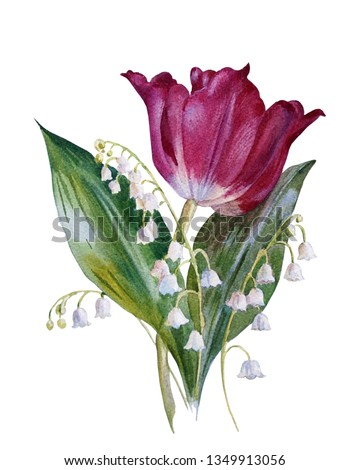 Spring  flowers. Tulip and lilies of the valley on a white background. Botanical illustration. Watercolor painting.