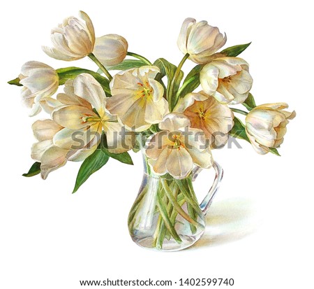 Bouquet of luxurious white tulips in a jug. Isolated on a white background. Botanical illustration. Watercolor painting.