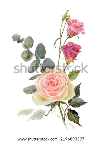 Rose and lisianthus isolated on white background. Watercolor painting. illustration for your design.