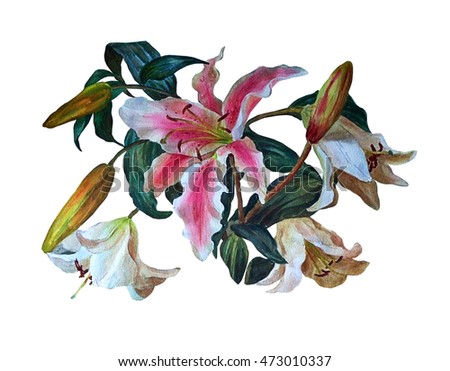 Colorful bouquet of lilies, isolated on white background. Floral background. Botanical illustration. Watercolor painting.