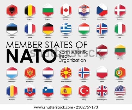 Vector illustration of Hexagon shape flags of the 30 Member states of NATO on gray background