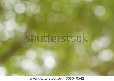 blurred natural background.blur natural and light background in the park.