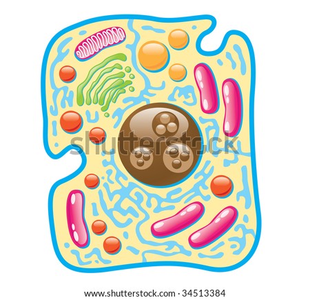 Abstract Illustration Medical Cell - 34513384 : Shutterstock