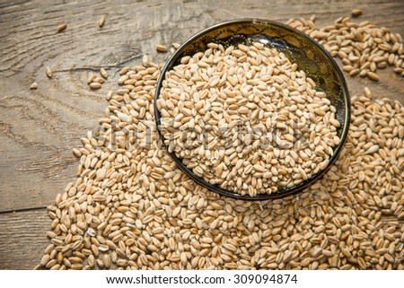 Wheat grains ,Grain of the wheat , whole wheat grains