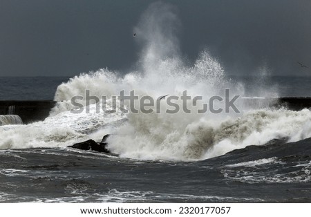 Similar – Image, Stock Photo Stormy Sea Waves on a Cold Autumn Morning Closeup