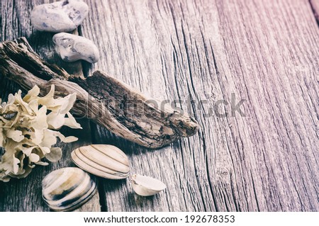 Marine background with pebbles and seashells