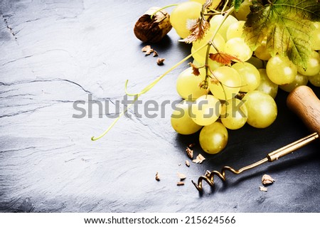 Bunch of white grape with grapevine. Wine making concept