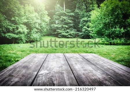 Wooden picnic table with green nature on the background