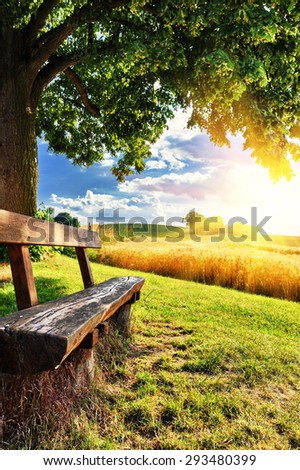 Beautiful summer landscape with wooden bench at sunset