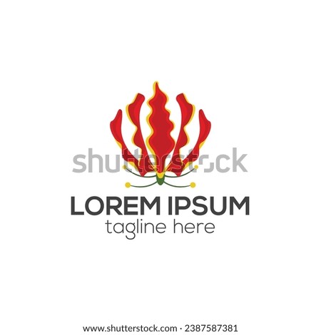 Gloriosa logo, flame lily or fire lily flower logo design isolated vector template