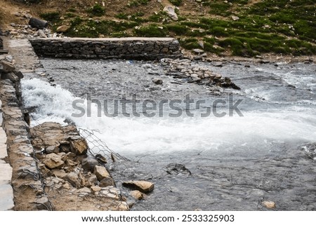 Similar – Image, Stock Photo Lake flowing near green trees