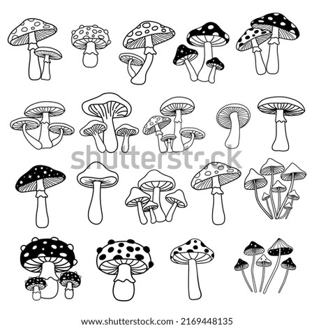 Mushroom set,Mushrooms doodle,Mushroom hand draw,Mushrooms vector