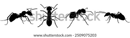 ant silhouette vector set design