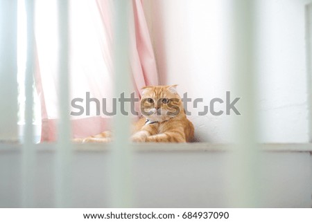 Shutterstock Puzzlepix