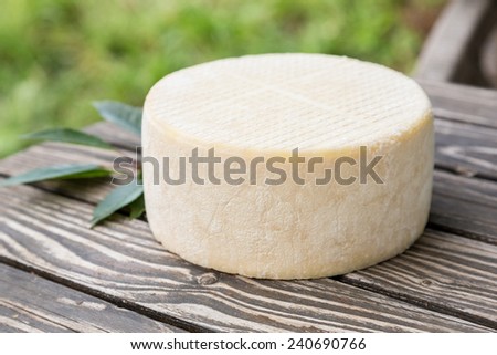 Big head of goat cheese lying on a wooden table boards
