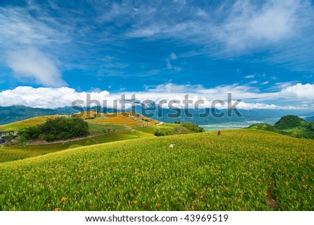 Woman picking fresh daylily flower with beautiful cloudscape background-Chinese Mother\'s Day flower