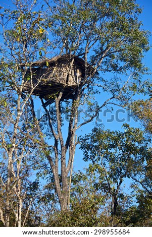 A tree house at the top of a tree in a jungle of Kerala.