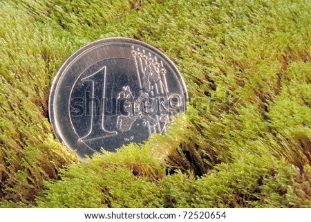 The lost coin lays on a moss. One euro on moss backgrounds
